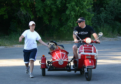Image: Sidecar — Brutus in sidecar as Jo Jenkins walks beside