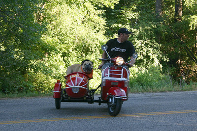 Image: Going for a ride — Brutus in the sidecar